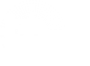 logo_magnetic_white-300-1